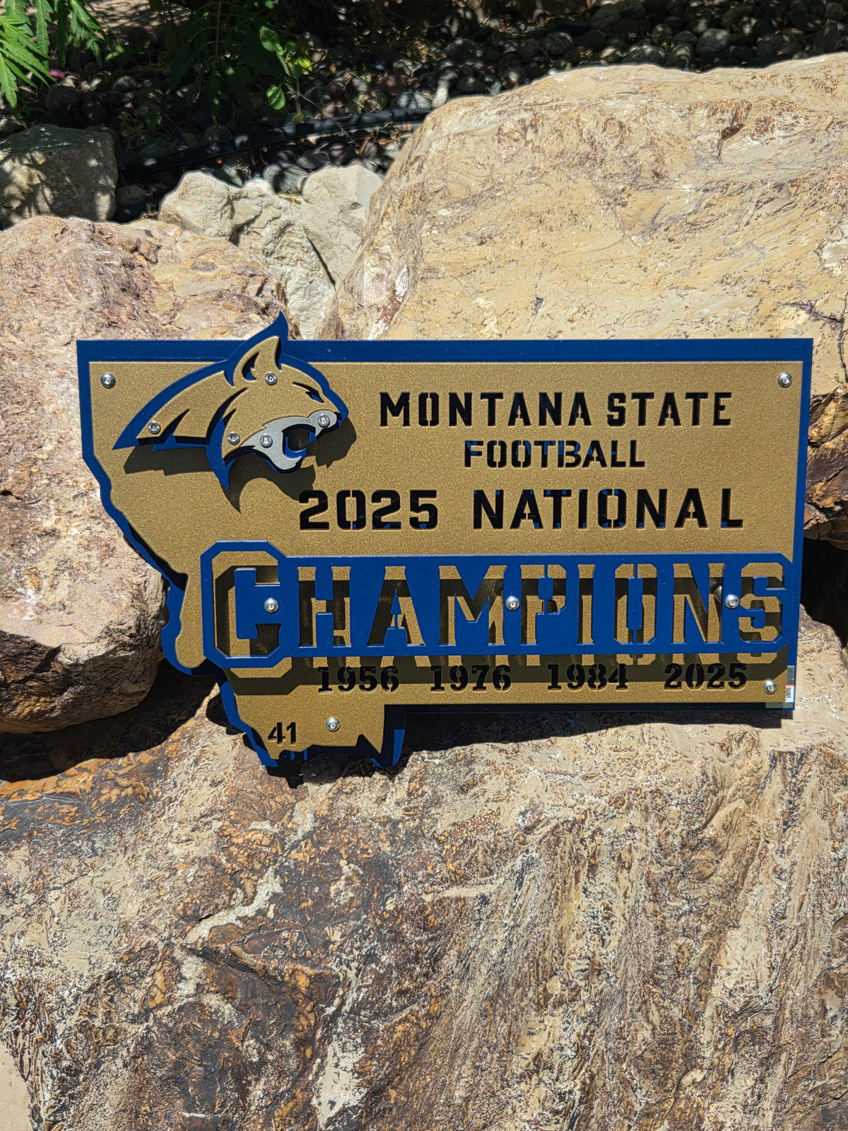 Montana State Championship Metal Art
